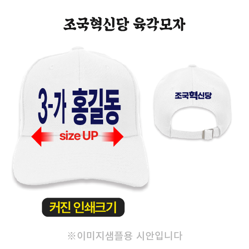 조국혁신당 모자