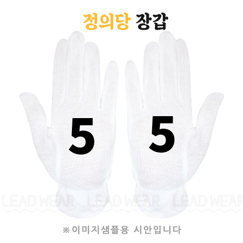 정의당 선거장갑