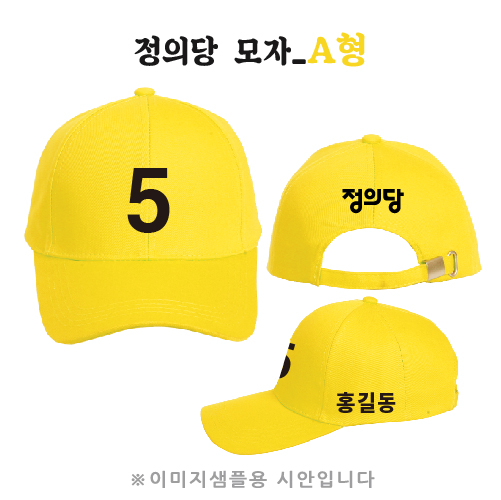 정의당 모자 A형