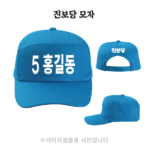진보당 모자