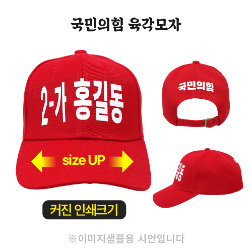 국민의힘 육각모자