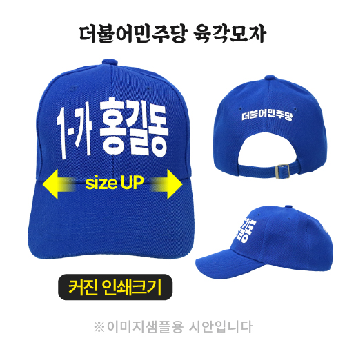 더불어민주당 육각모자