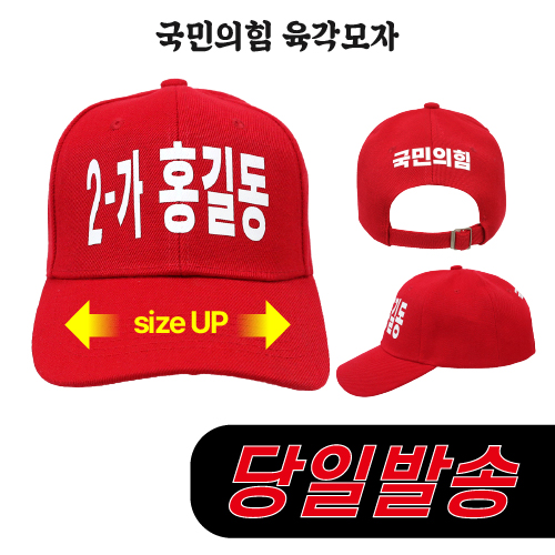 (1시이전 주문) 국민의힘 육각모자