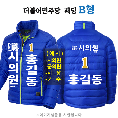 더불어민주당 패딩 B형